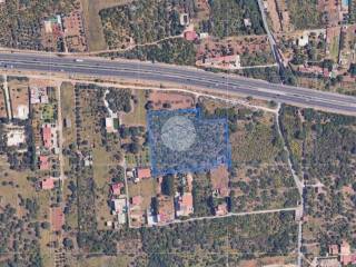 Zona