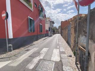 Zona