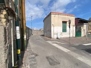 Zona