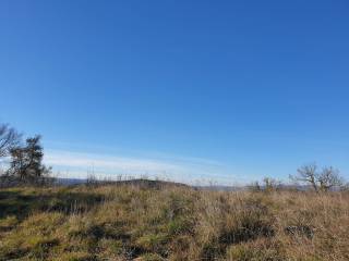 20190212_155421.jpg