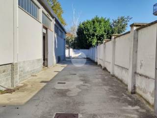 Zona
