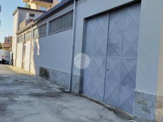 Zona