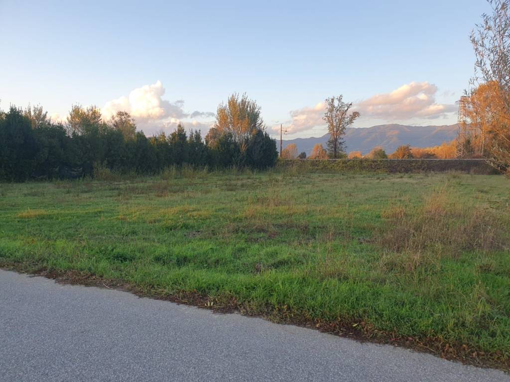 Terreno agricolo via dell'arpino snc, tassignano - paganico, capannori