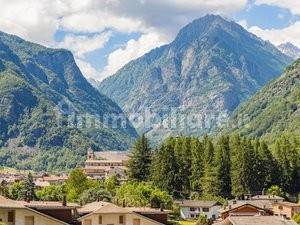 Vista