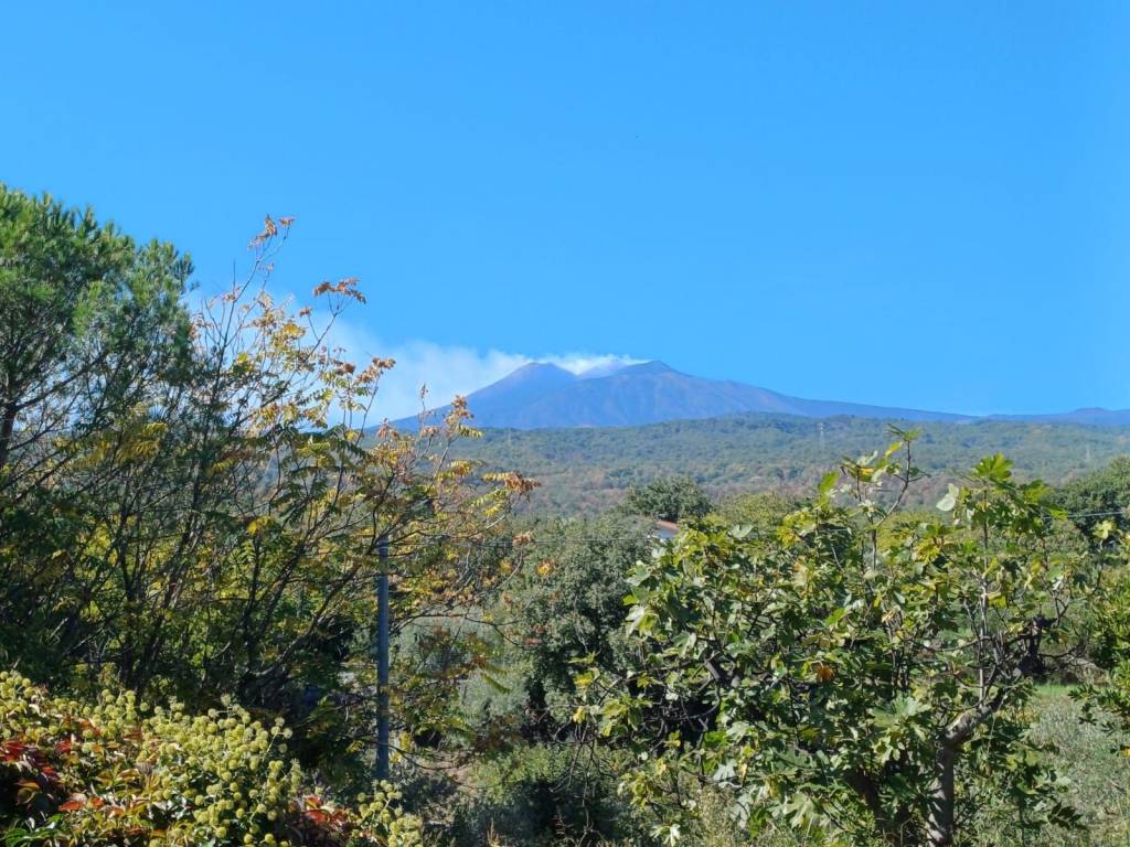 Terreno agricolo via sciarelli, piedimonte etneo