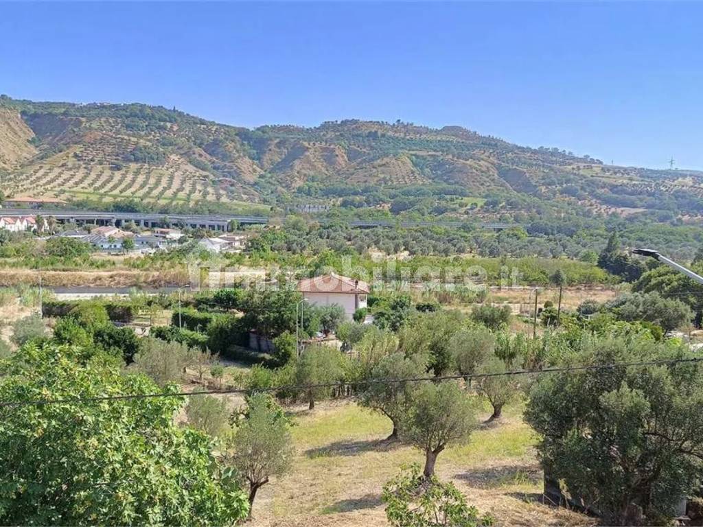 Vista
