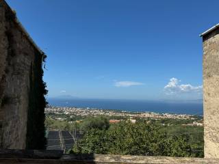 Vista