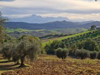casolare