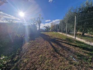 casolare