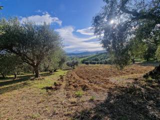 casolare