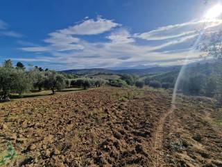 casolare