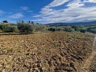 casolare