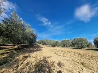 casolare