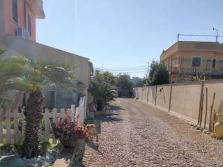 Zona