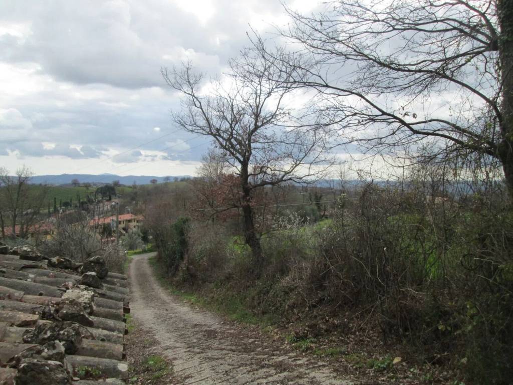 Terreno non edificabile via giacomo matteotti san c., catabbio, semproniano