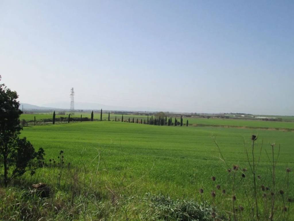 Cascina amiatina san c., centro, magliano in toscana