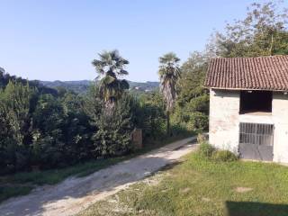 Zona