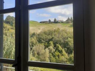 Vista