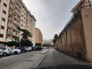 zona