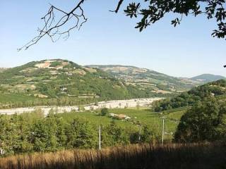 Vista