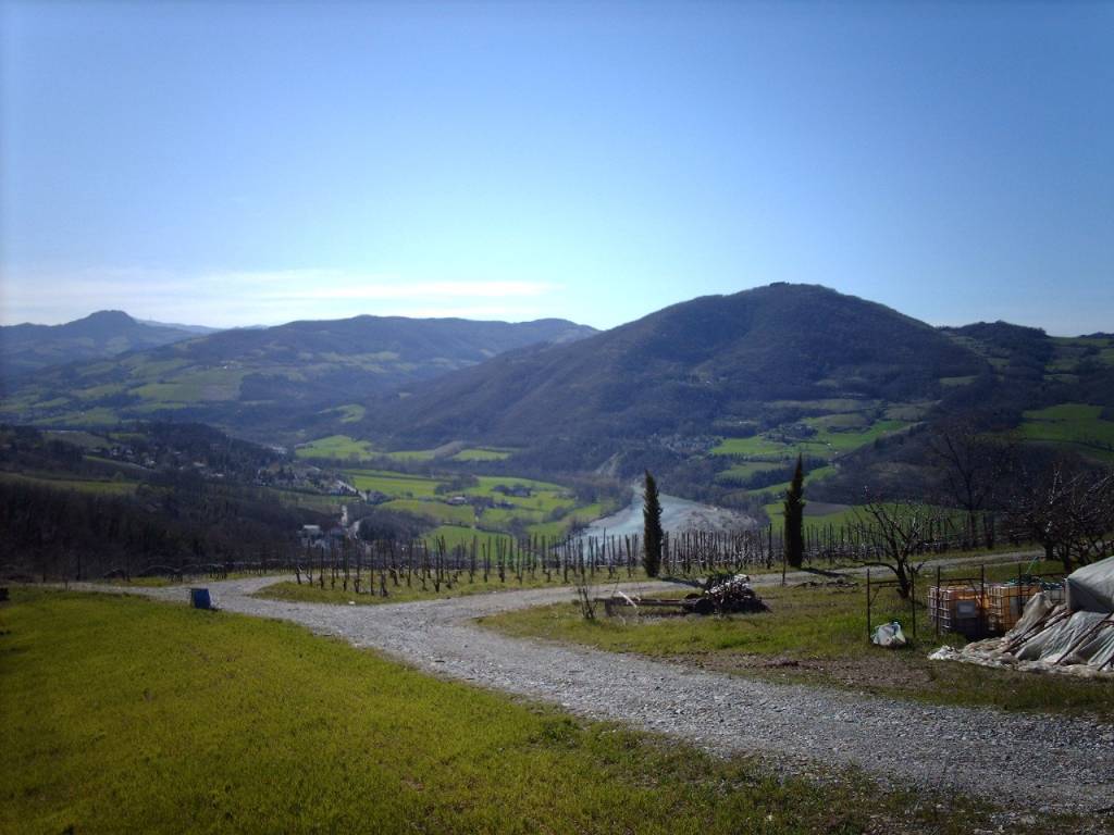 Terreno agricolo bassano, rivergaro