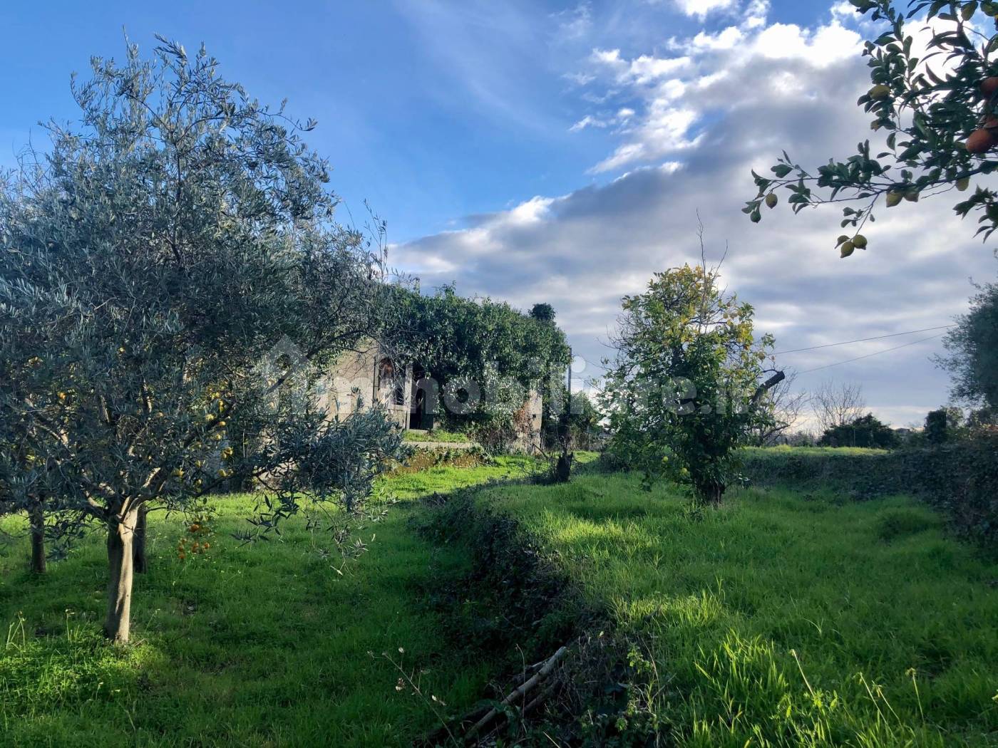 Rustico - Casale in vendita a Giarre