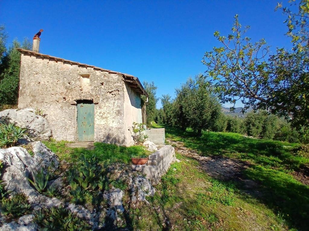 Terreno agricolo contrada bucefalo, itri