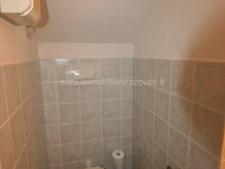 img 7918 wmk 0