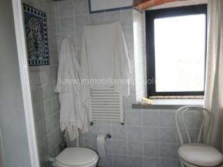 img 7929 wmk 0