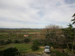 img 7938 wmk 0