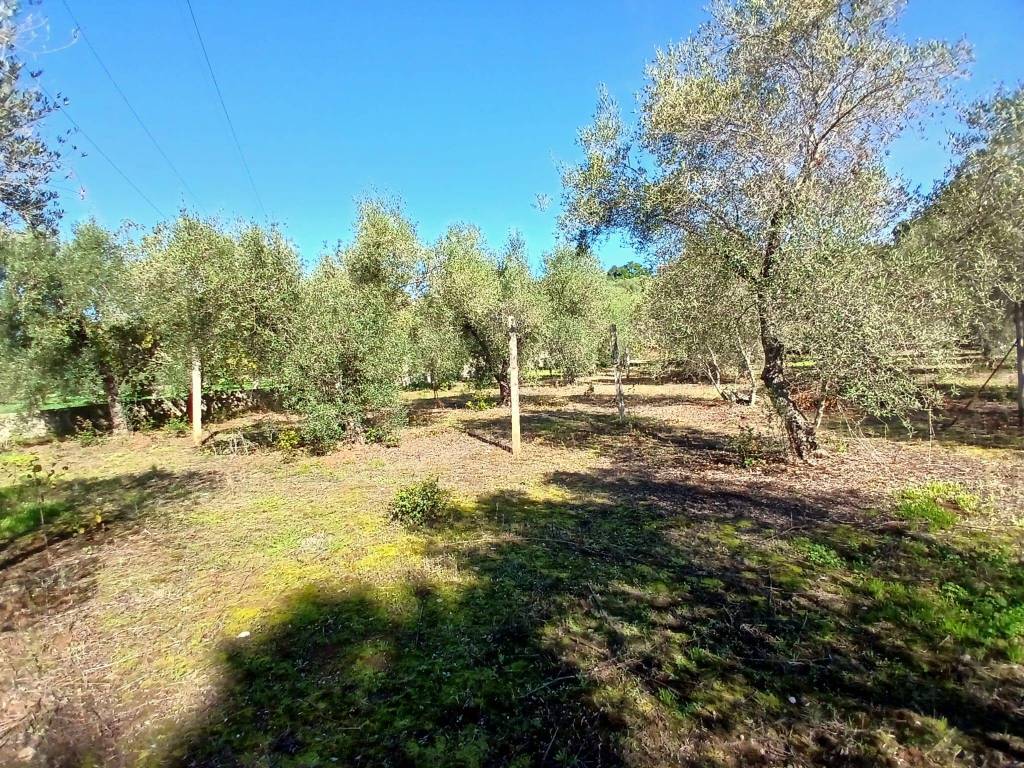 Terreno agricolo contrada campanaro, itri