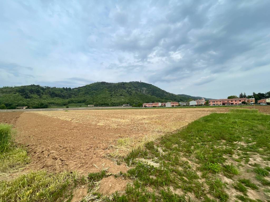 Terreno agricolo via cappuccini, cologne