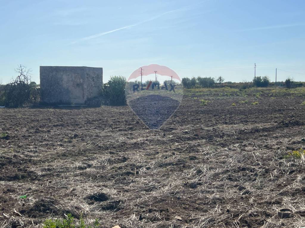 Terreno edificabile, noicattaro