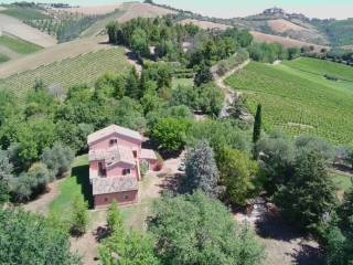 foto drone