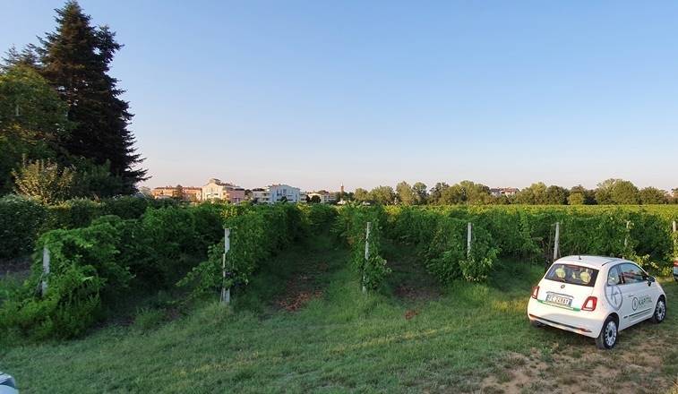 Terreno agricolo, vecchiazzano - ospedale, forlì