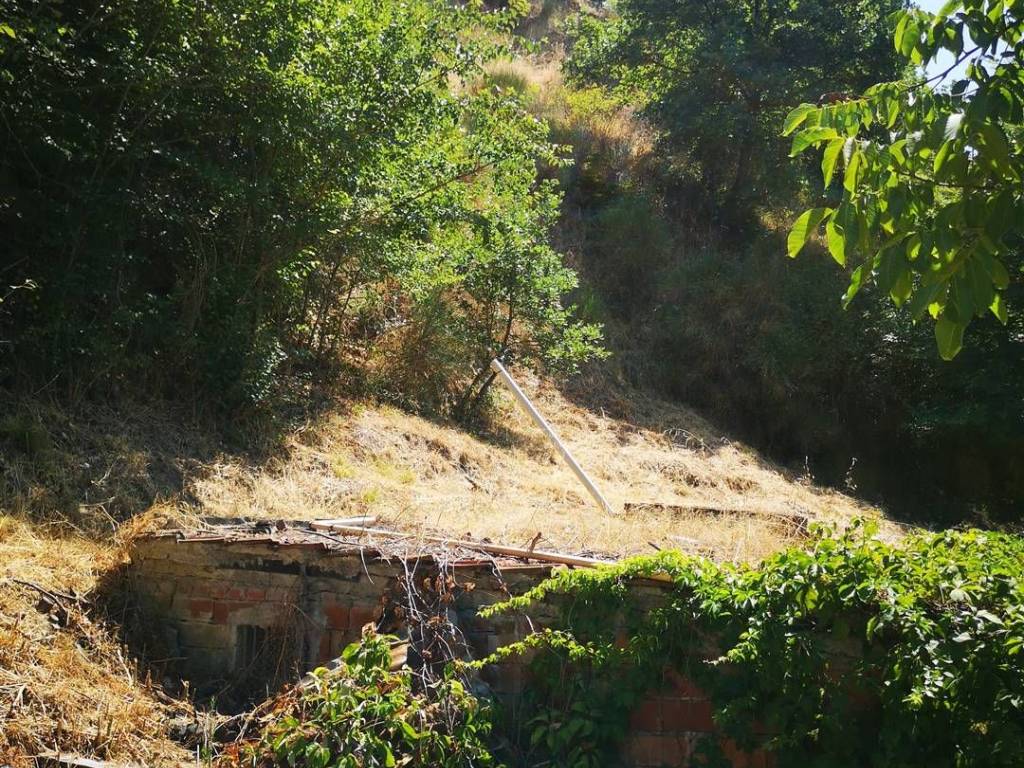 Terreno agricolo, terranuova bracciolini