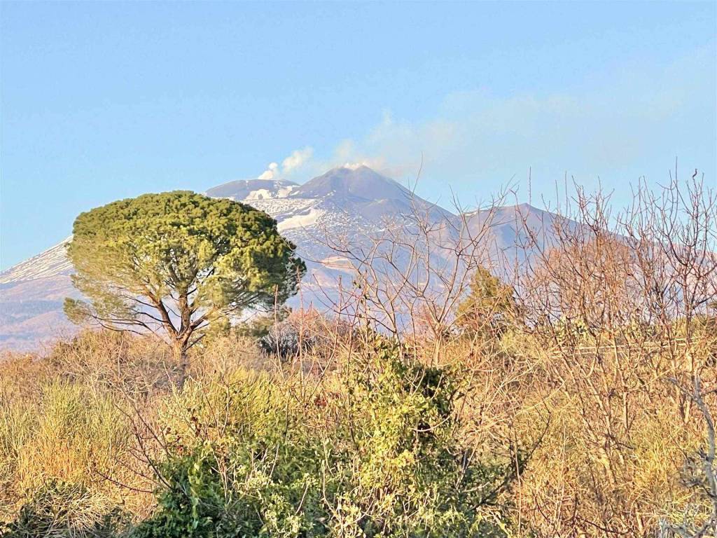 Terreno agricolo strada comunale raffo, belpasso