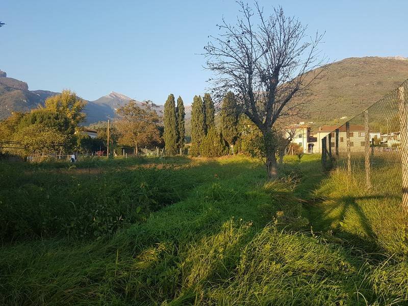 Terreno agricolo, camaiore paese, camaiore