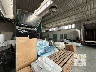 img 20241017 wa0002 wmk 0