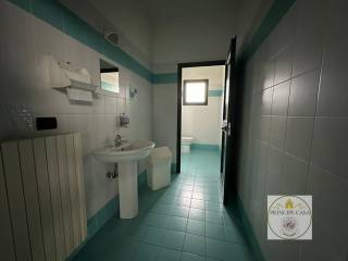 img 20241017 wa0004 wmk 0