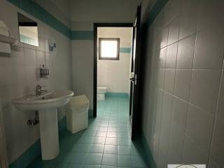 img 20241017 wa0012 wmk 0
