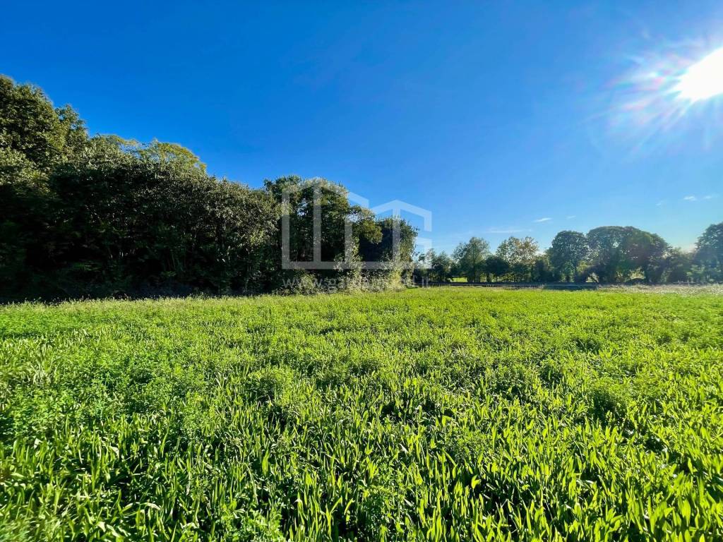 Terreno agricolo via dei bosche 20, volta mantovana