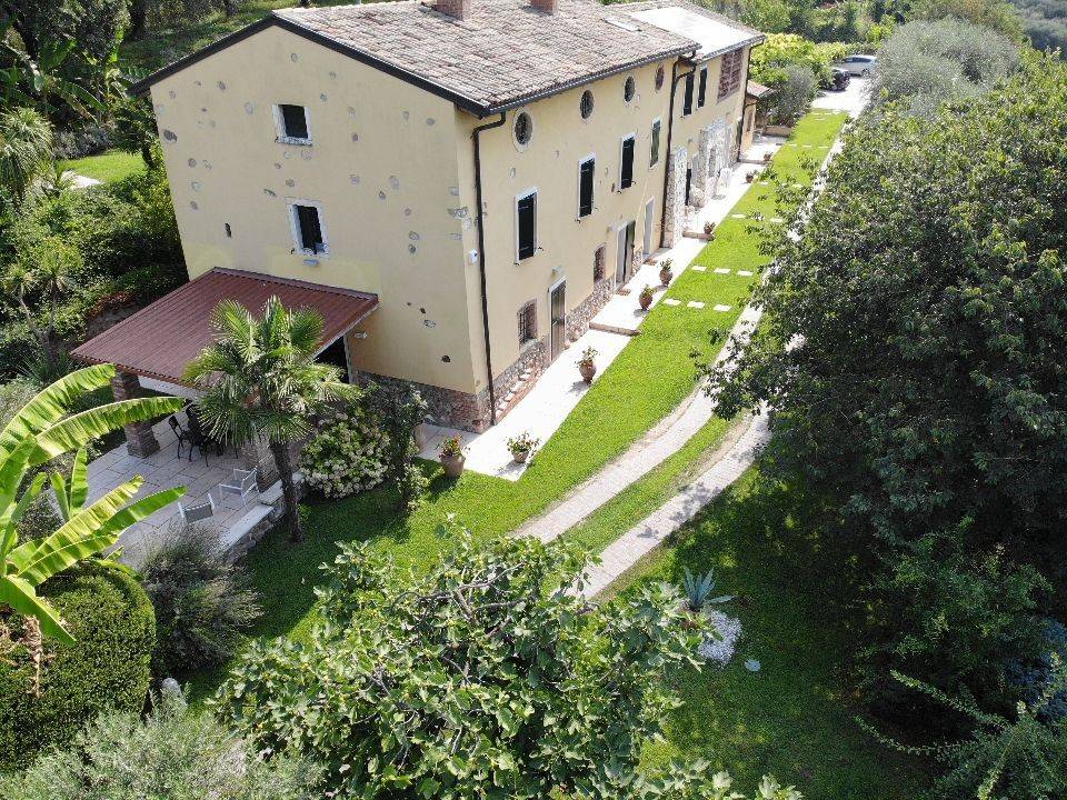 Vista