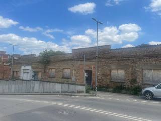Zona