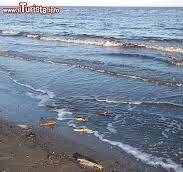 Spiaggia Lido degli Estensi