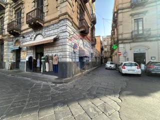 Zona