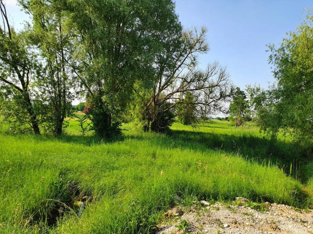 Terreno edificabile, fogliano - due maestà, reggio emilia