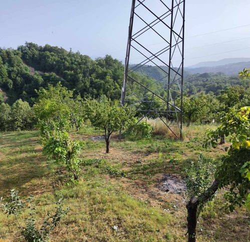 Terreno agricolo località vico 7, centro, santo stefano di rogliano