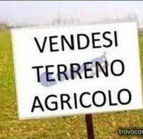 Terreno agricolo, centro, città di castello