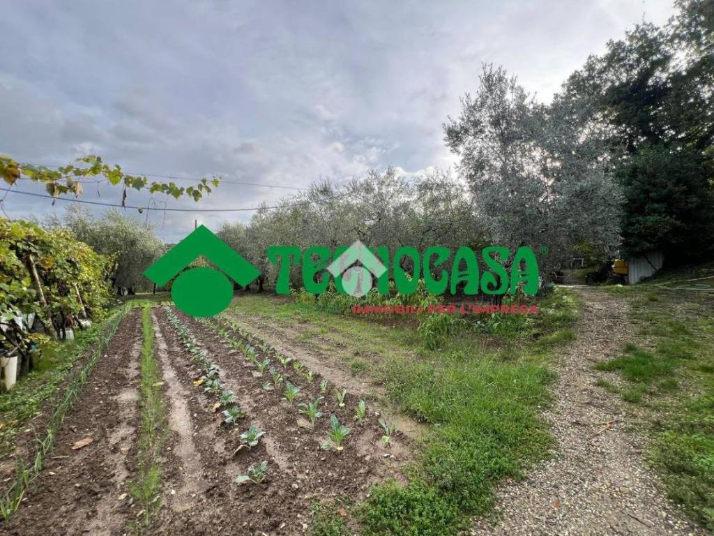 Terreno agricolo via delle ginestre, calenzano